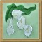 BFC0309 Calla Lilies