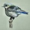 BFC0311 More Small Birds