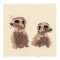 BFC31325 Meerkat Pocket Topper