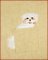 Shih Tzu Pocket Topper