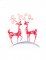 BFC31340  Sally King's Red Deer