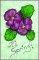 BFC31396 FSL Pansies and Leaves