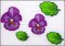 BFC31396 FSL Pansies and Leaves