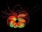 BFC31550 Orange Blossom Fractal
