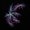 BFC31552 Fractal Fireworks