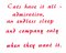 BFC31554 Independent Kitty