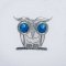 BFC31555 Silvery Little Owl