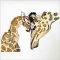 BFC31621 A Mother's Love