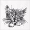 BFC31691 Sleeping Kitten Sketch
