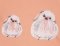 BFC31733 Baby Bird