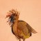 BFC31735 Bronze Tri Color Heron