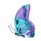BFC31812 19th Anniversary Butterfly 2