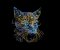 BFC31860  Intense Feline Stare