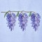 BFC0319 Watercolor Wisteria