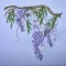 BFC0319 Watercolor Wisteria