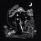 BFC31966 A Cat and the Moon