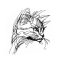 BFC31975 Cat on Alert