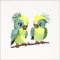 BFC32018 Sweet Birdies