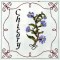 BFC0321 Medieval Herbal Quilt Squares