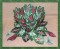 BFC0322  Lace Bowl & Doily  Caladium
