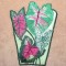 BFC0322  Lace Bowl & Doily  Caladium