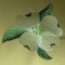BFC0329 Watercolor Dogwood