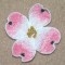 BFC0331  Lace Sculpture - Dogwood