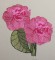 BFC0333   Lace Bowl & Doily  Watercolor Bouquet