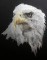 BFC0334 Eagles and Wolves