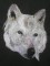 BFC0334 Eagles and Wolves