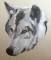 BFC0334 Eagles and Wolves