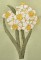BFC0335 Watercolor Bouquet