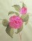 BFC0335 Watercolor Bouquet