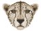 RMG3359 Cheetah