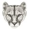 RMG3367  Mountain Lion