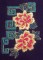 BFC0337 Brocade Borders