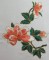 BFC0337 Brocade Borders