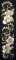 BFC0337 Brocade Borders