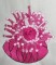 BFC0341 Coral Reef