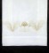 BFC0346 Feathers & Flowers