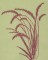 BFC0347 Garden Oasis