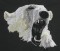 BFC0350 Bears