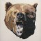 BFC0350 Bears