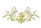 RMG3529 Floral