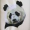 BFC0353 Bears II