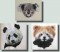 BFC0353 Bears II