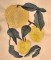 BFC0357 Apple Harvest Designs