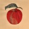 BFC0357 Apple Harvest Designs