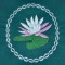BFC0361 Swans & Water Lilies