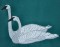 BFC0361 Swans & Water Lilies